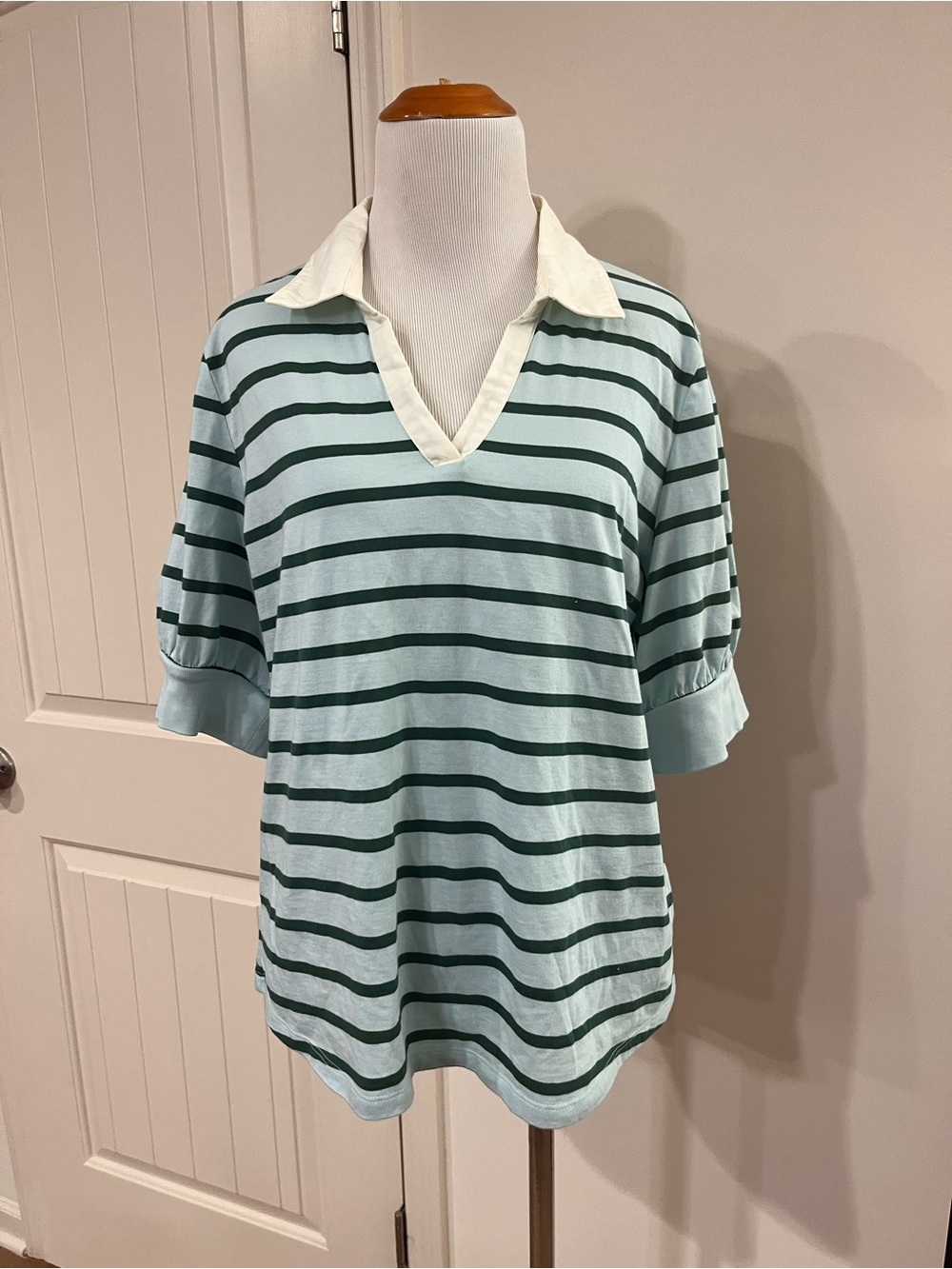 Talbots Light Aqua and Dark Green Striped V-Neck Polo